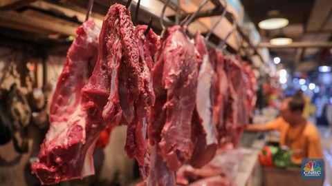 Kebutuhan Daging Sapi di Kota Pekanbaru Meningkat Selama Ramadan 1447 H